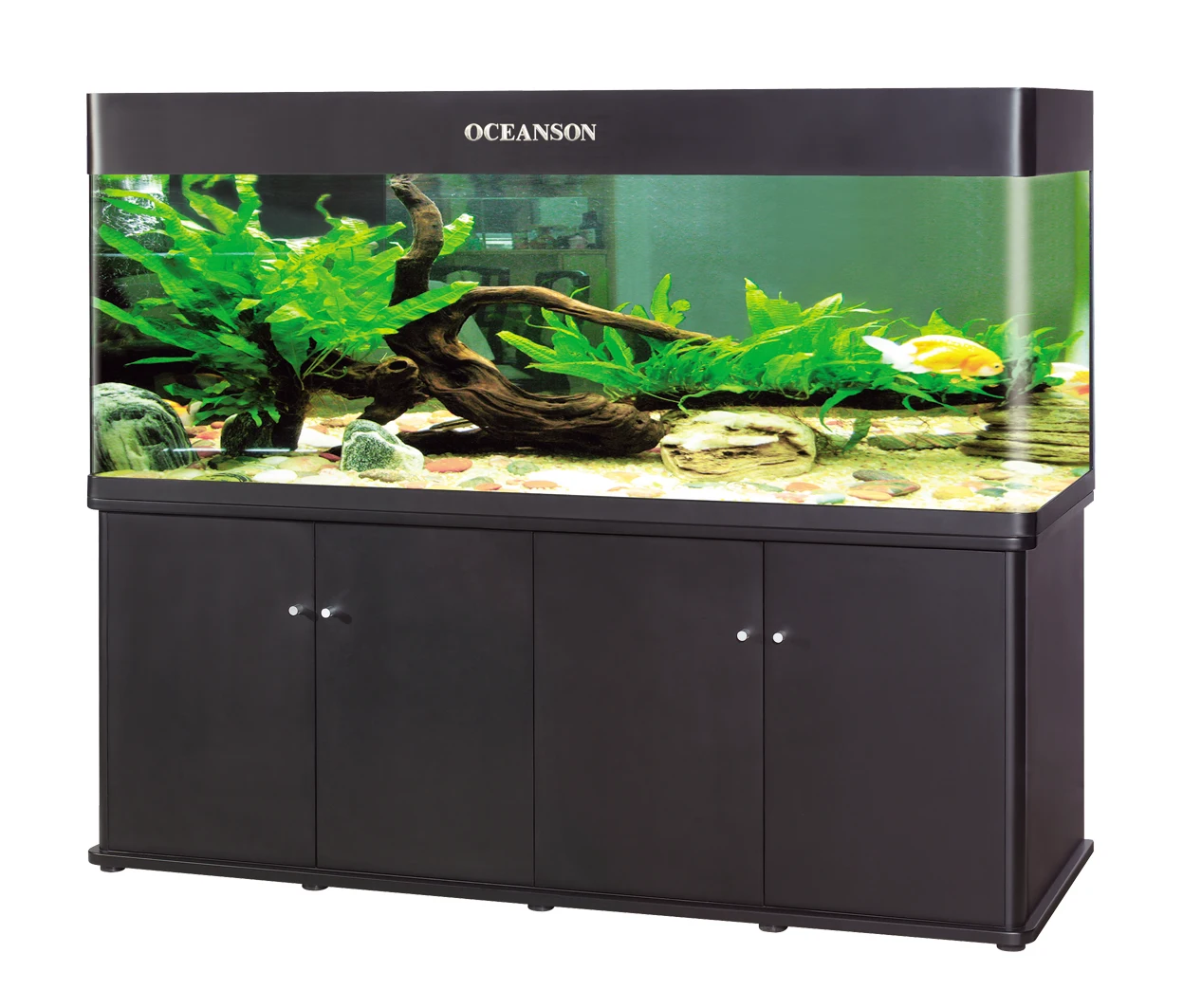 used saltwater aquarium for sale