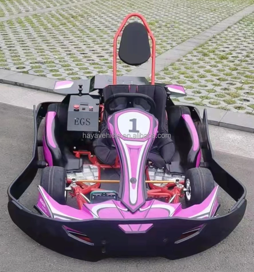 Hot Sale 3000w Powerful Electric Racing Go Kart Buy Go Kartelectric Go Kartracing Go Kart 