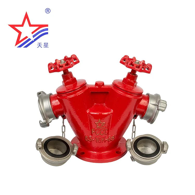 Outdoor Fire Hydrant Gost 6516k65 Double Body & Double Outlet Fire
