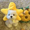 Starfish hat