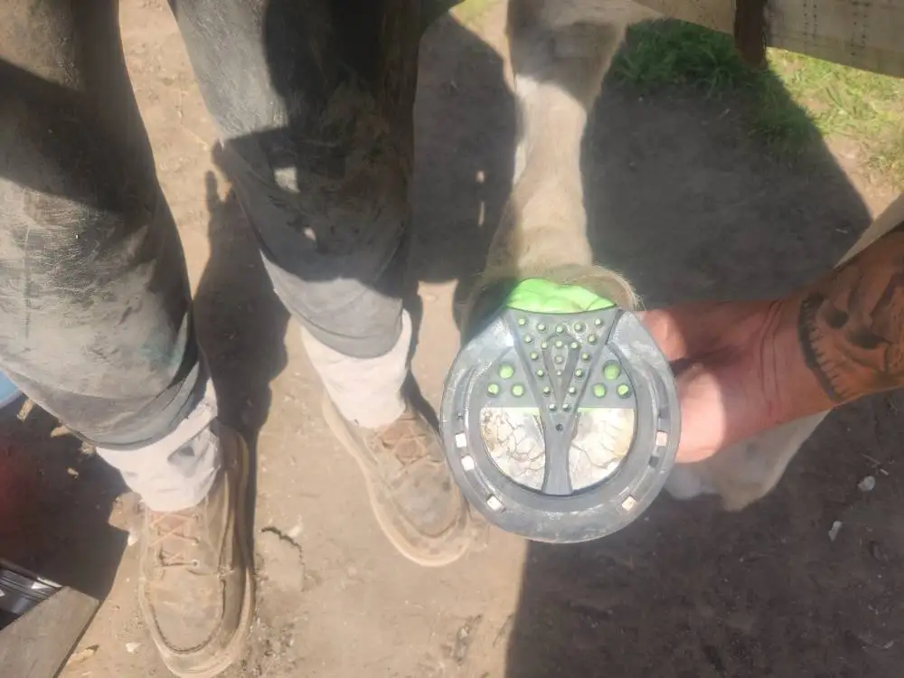 25 Shore A Fast Curing Silicone Impression Material Horse Hoof Treatment Silicone Moulding Putty