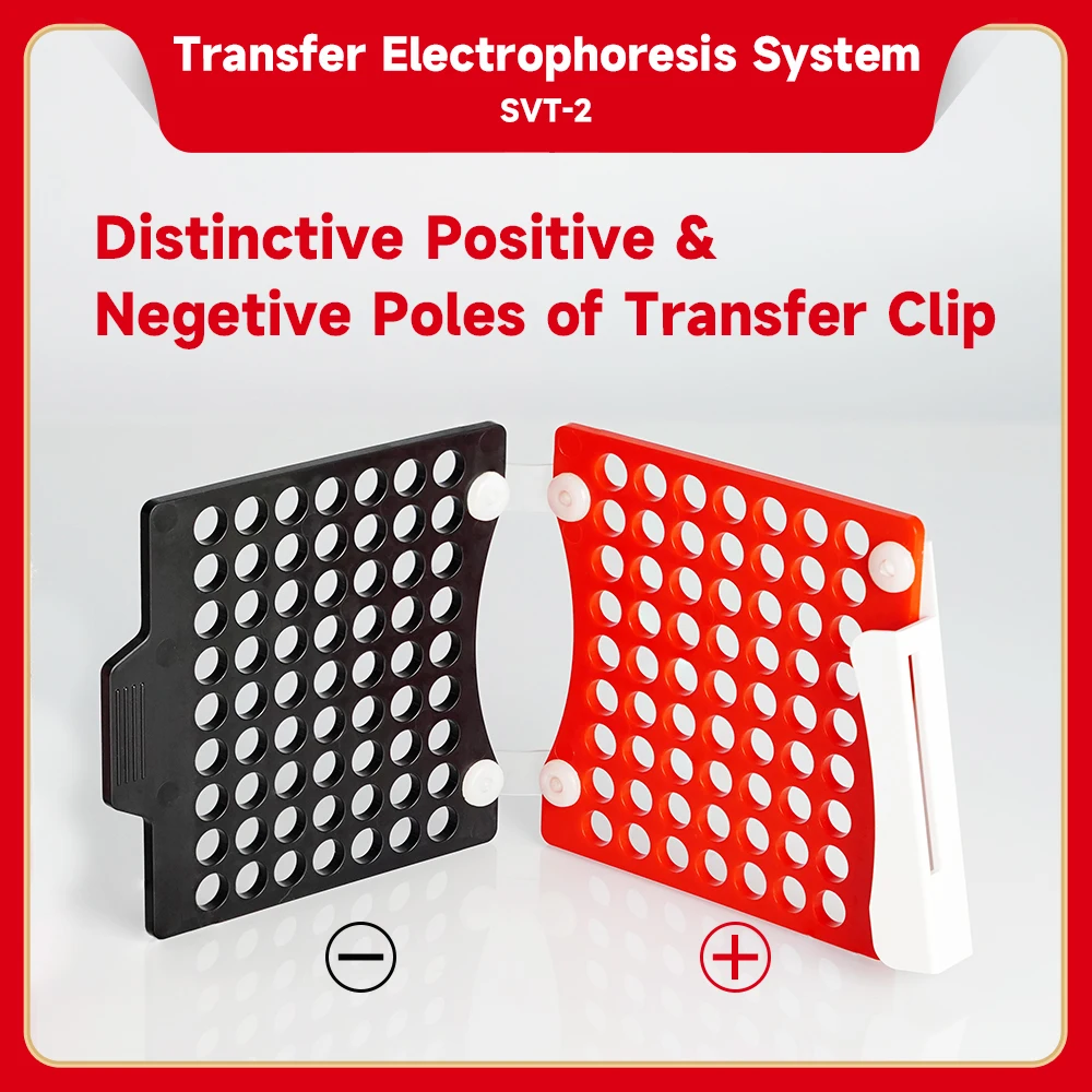 Gel Electrophoresis Equipment RT PCR Testing Laboratory Vertical electrophoresis analyzer lab intstrument