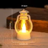 Pony light -white