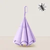 Lavender purple