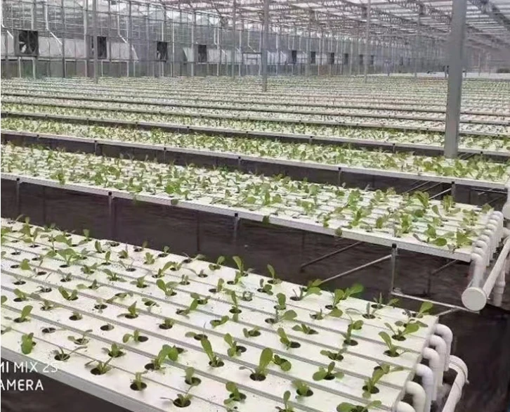 Food PVC Gutter Gully NFT Channel for Hydroponic Agriculture