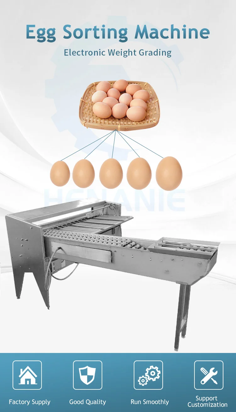 High Quality Automatic Egg Grading Process Line Scale Grader Mini Egg