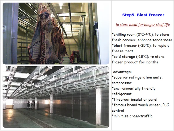 Ritual cattle slaughterhouse and cattle slaughterhouse meat traceability system equipment