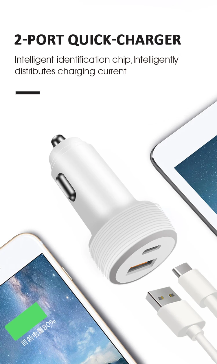 Universal Mini Car Charger