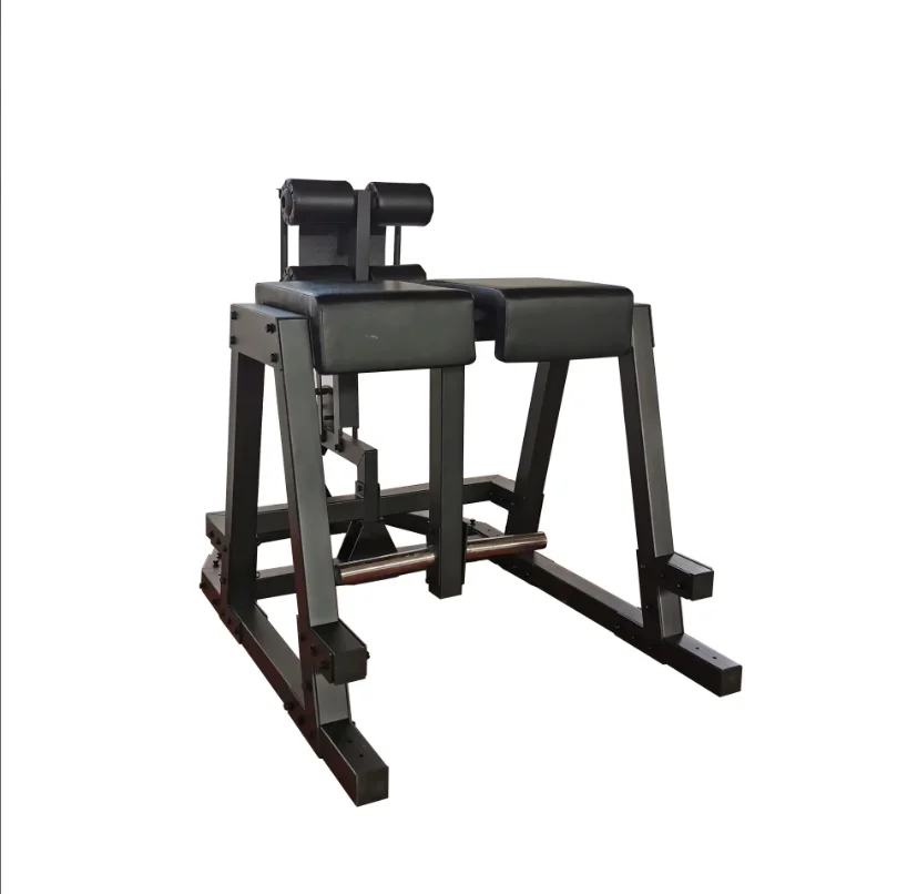 Heavy-Duty Roman Chair for Abdominal and Back Training CHD Prone Reverse Leg product detail 2