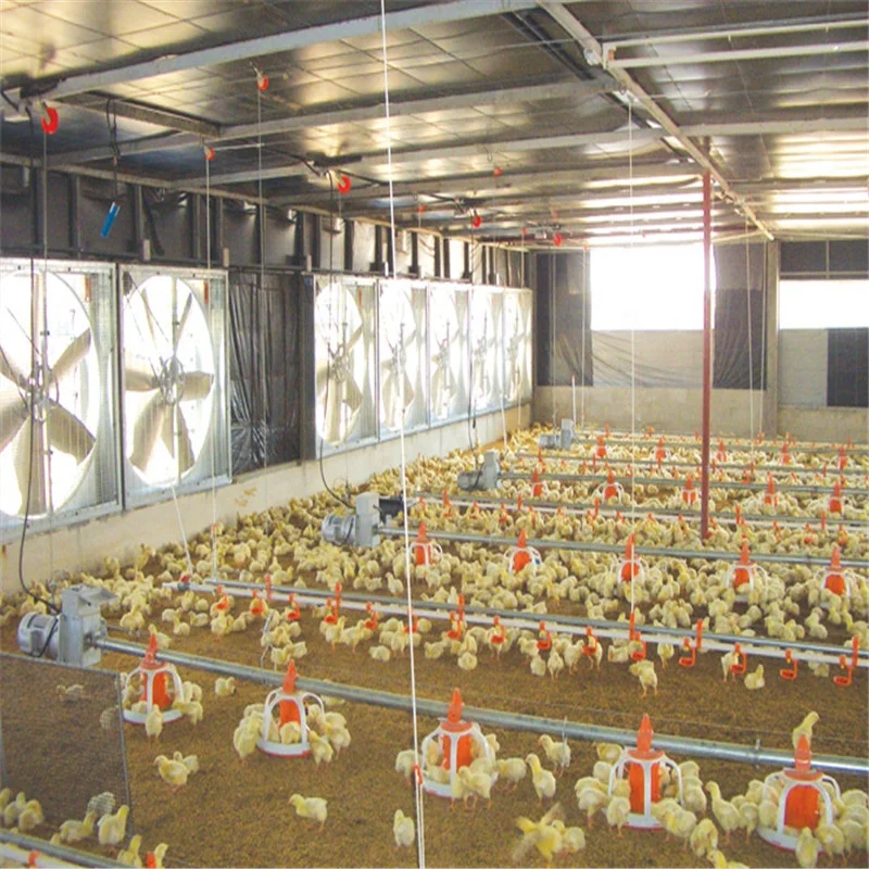 Ejoy Fully Automatic Tunnel Vent Poultry Farm Equipment Design Broiler Chicken Breeding System for Sale