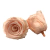 rose champagne