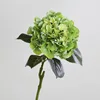 Verde chiaro
