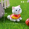 Color Samoyedo