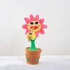 Rosa2