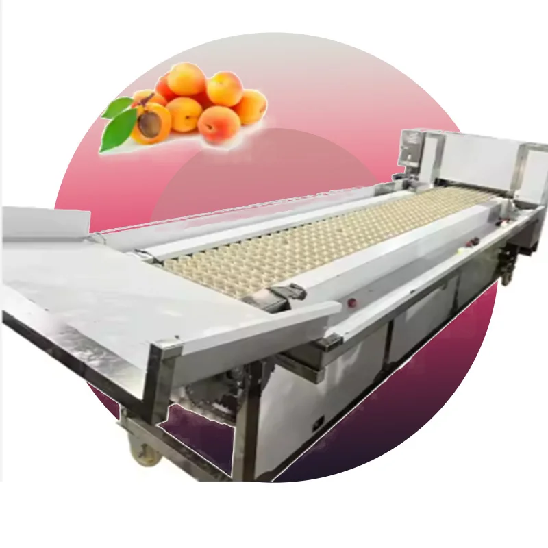 304 Stainless Steel Apricot/Plum Pitting Machine 1T/H CE Certified Low Meat Loss