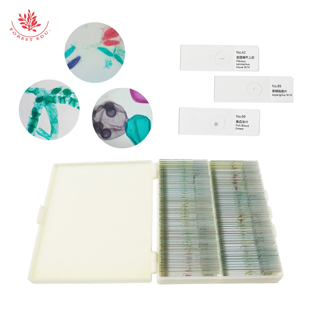microscope slides-1.jpg