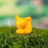 4-Pequeño gato naranja
