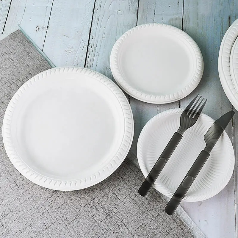 Disposable Plates Restaurant 12 Inch Dinner