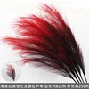 Gradient red and black 7-pronged firework reed branch