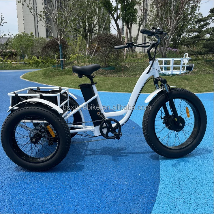 48V 500W Brushless Hub Motor E-Bike Cargo Bike Transport Tricycle