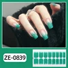 ZE-0839
