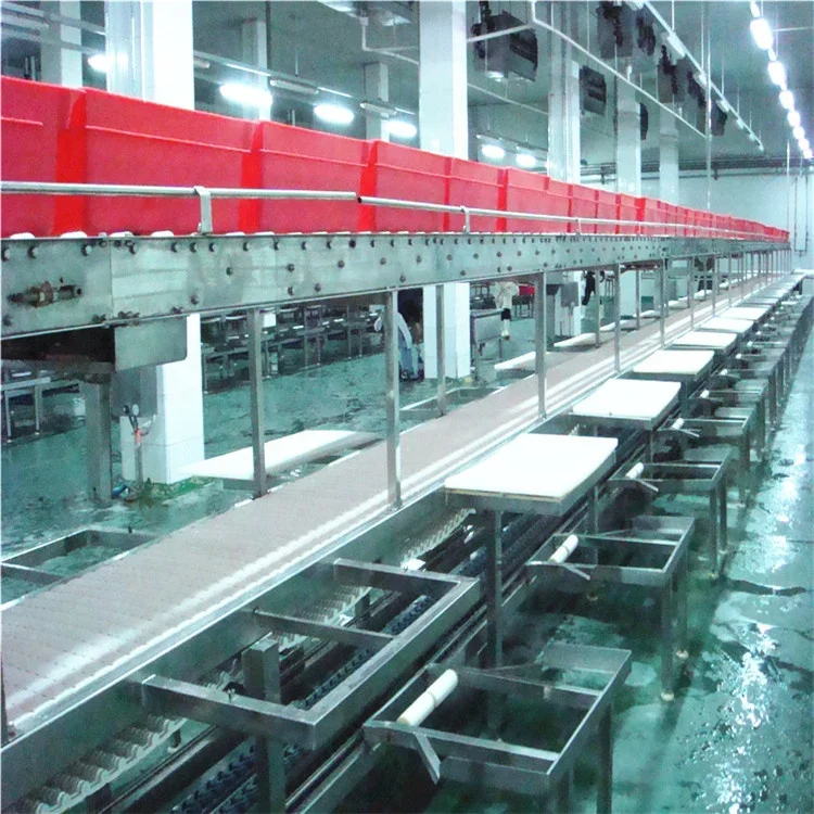 Muslim slaughterhouse with halal chicken slaughtering and processing line