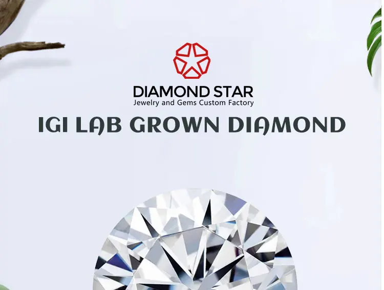 Igi Gia Certified Lab Diamond D E F Color 0.5ct 1ct 2ct 40ct Loose Diamond Wholesale Round Cut
