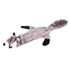 raccoon