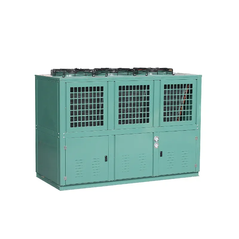 Condensing Unit, 220 V, 2*460w - detail 10