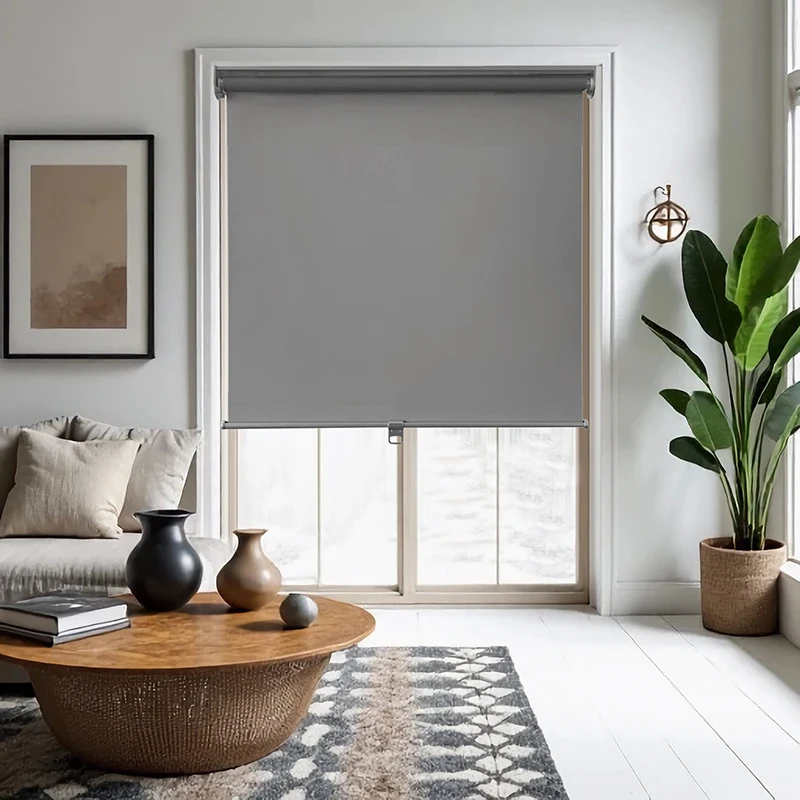 Cordless Translucent Spring Roller Blinds Shades & Shutters Single Layer Roller Blinds with UV protection for Home Office Window
