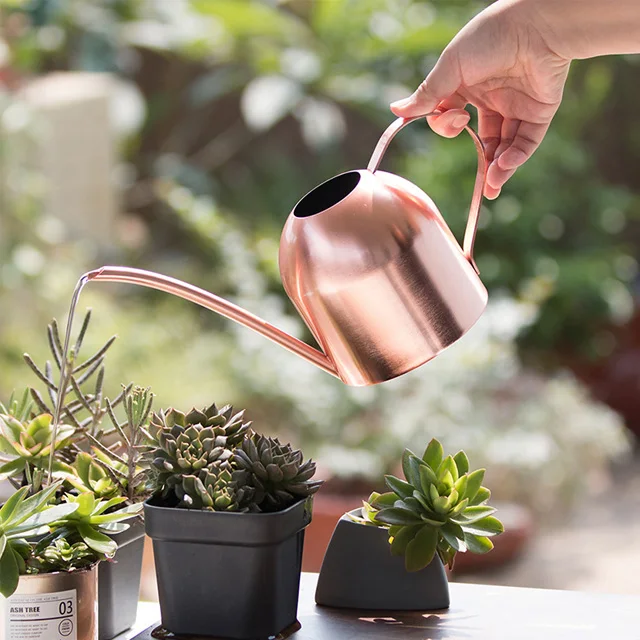 Small Watering Can Stainless Steel - 15oz for Indoor Plants