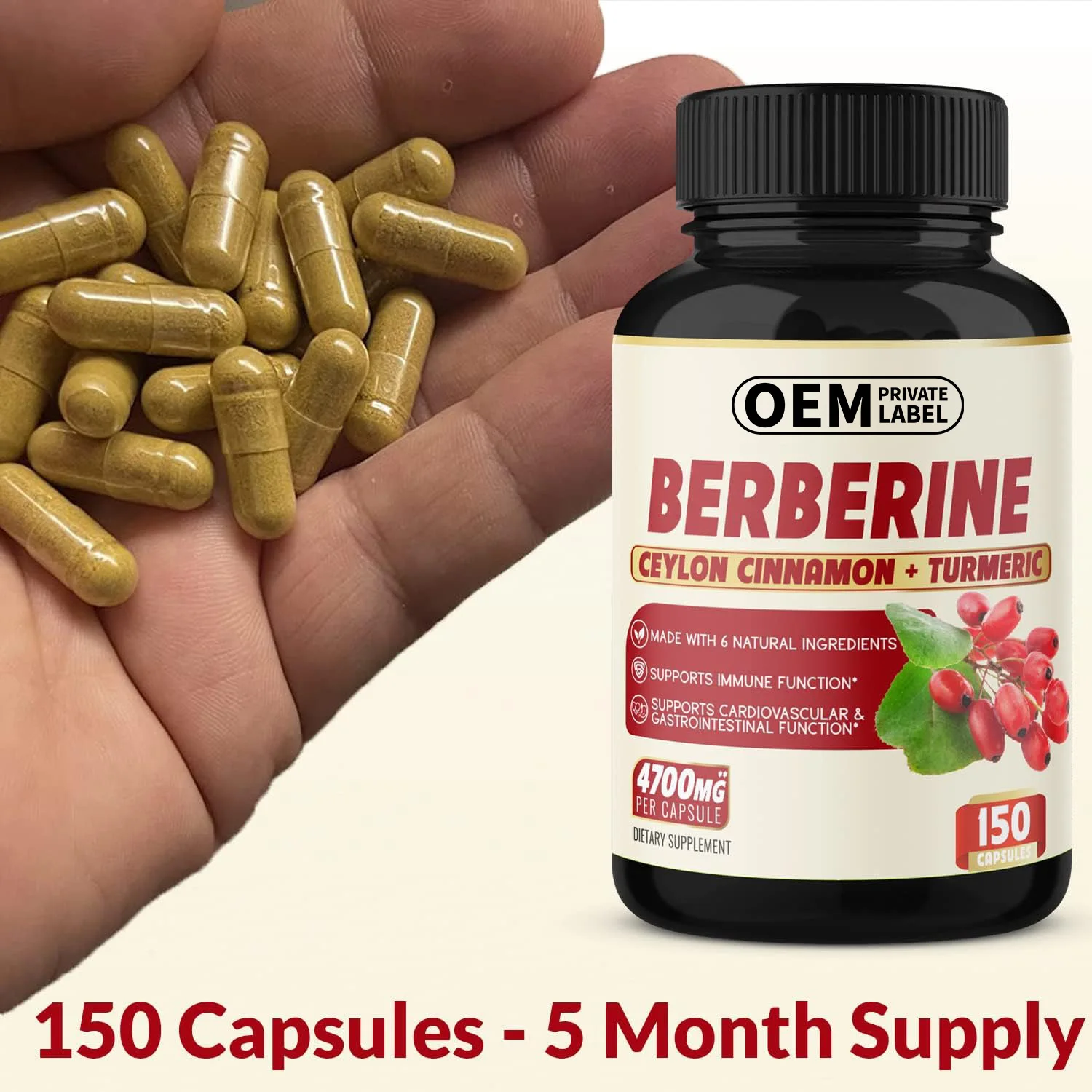 Oem Berberine Capsules 500mg Supplements Ceylon Cinnamon Hcl Pills ...