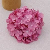 Autumn pink