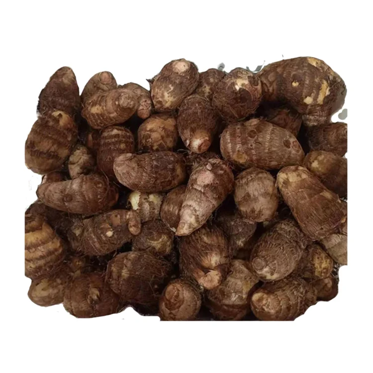 Овощ Ямс Фото — New-Freepik.Ru