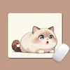 Gato gordito 0780