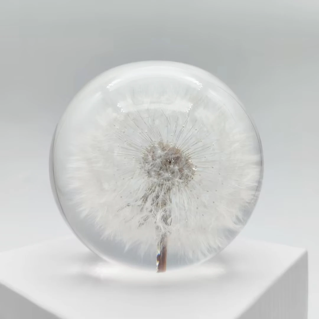 Custom Embedded Real Dandelion Resin Ball Epoxy Resin Craft Flower Decoration Plant Ornament Paperweight Glass Crystal Ball Gift