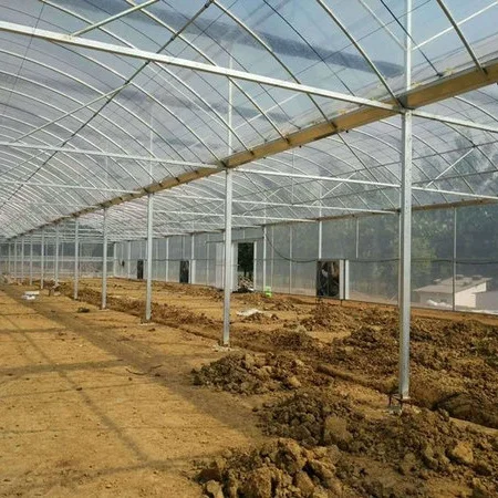 Outdoor Winter Greenhouse