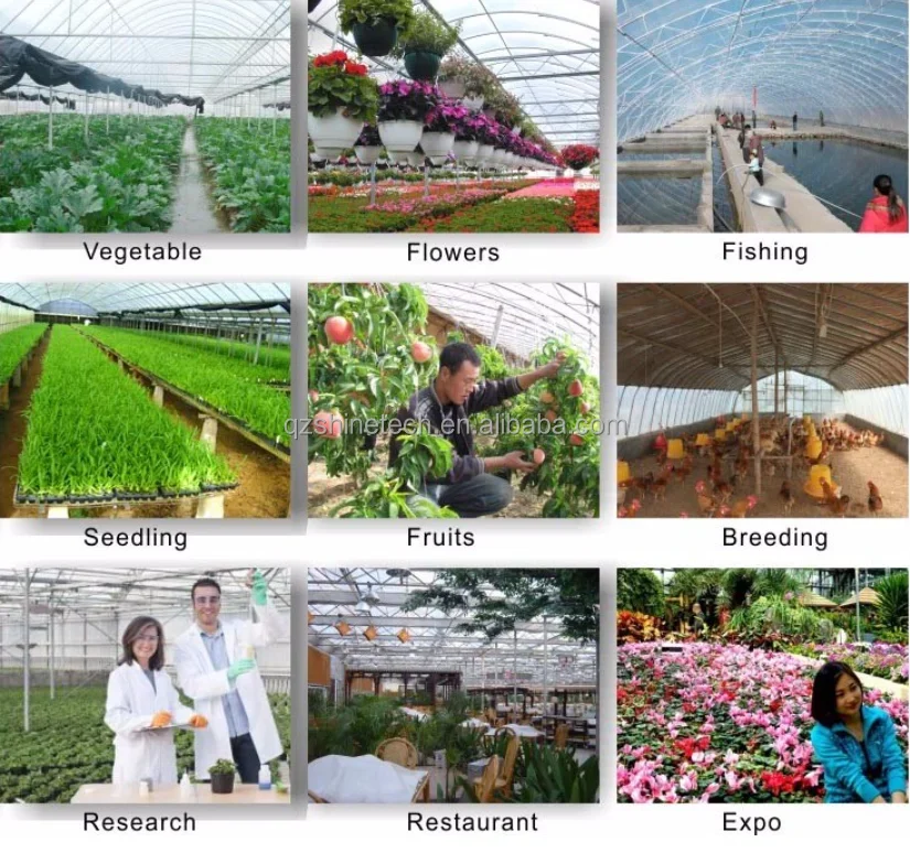Multi-span greenhouse