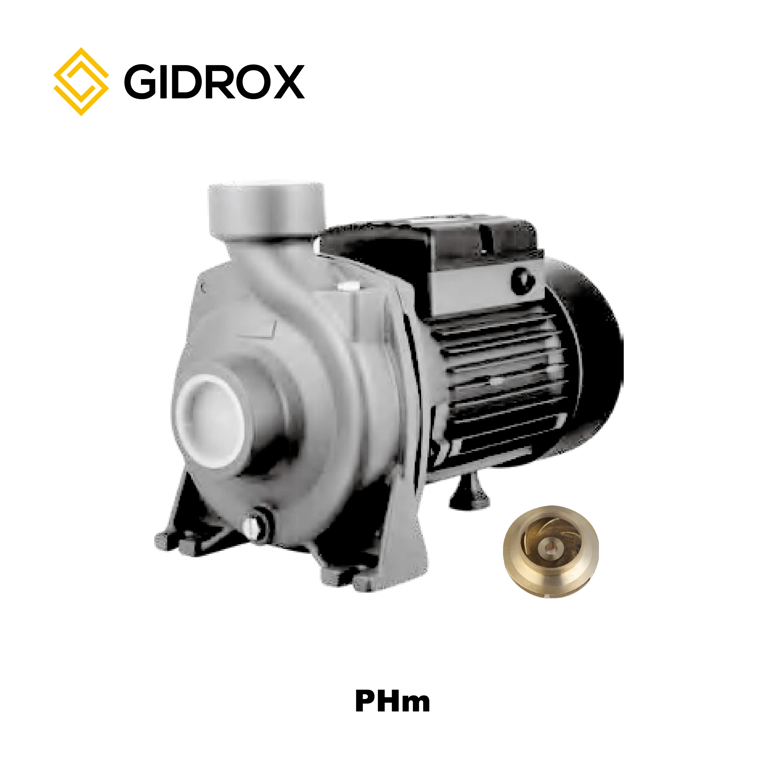PHm/5BM 1.5HP 1.1KW 19m head high quality electric horizontal end suction centrifugal pumps
