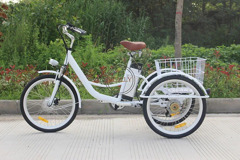 sams club adult tricycle