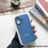 Sparrow feather blue