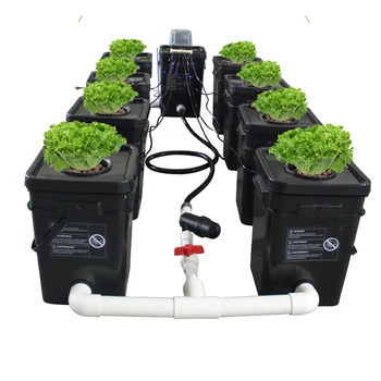 Rdwc 8 Buckets Recirculating Hydroponic System Air Pump And Cycle Pump ...