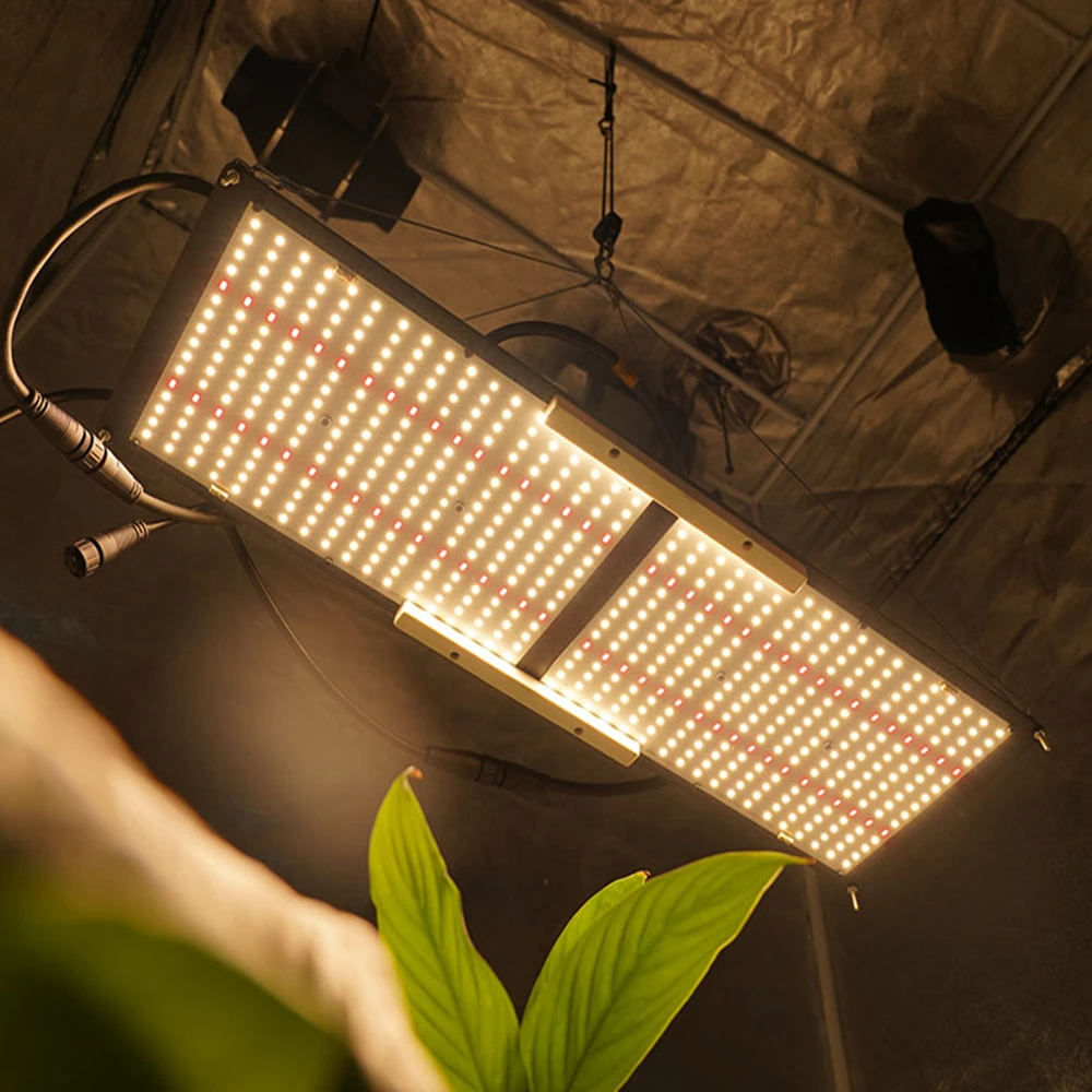 カフェ照明x8 MEIJIU QB288 240W LED Grow Light for Indoor Plants - Full Spectrum