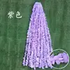 A meter long purple orchid cluster