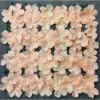 Champagne-colored hydrangea row
