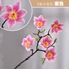 5 flores de magnolia, violeta