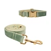 Saga Green