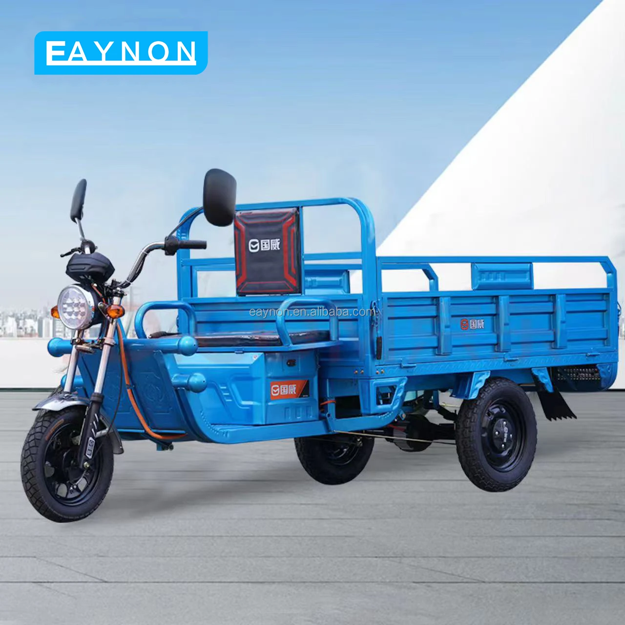 Eaynon Tailg Cargo Tricycle Electric 3 Three Wheel Scooter Trade ...