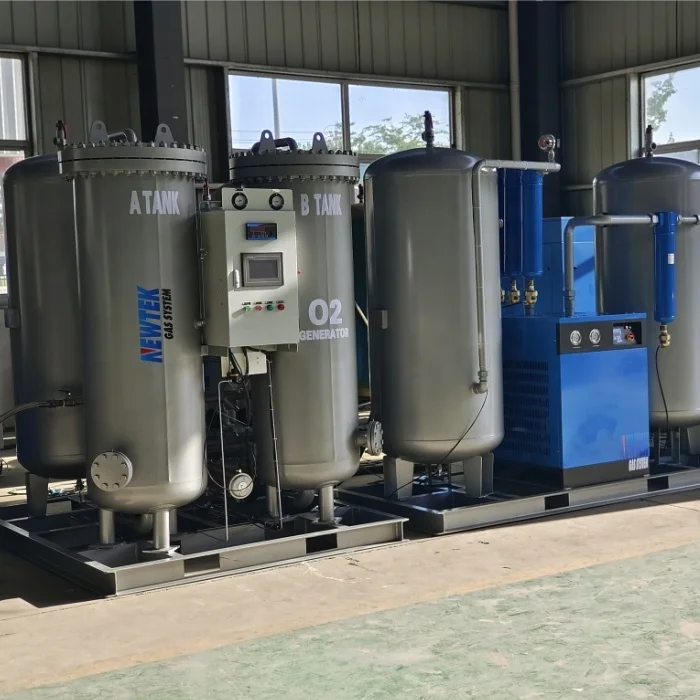 2024 Advanced Quality Industrial Oxygen Generator Pressure Swing Adsorption 93%+-3%