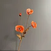 Arancione2